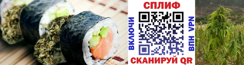 где купить   Барнаул  Canna-Cookies конопля 