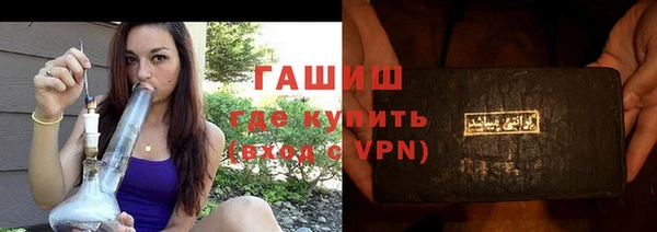 крисы Бородино