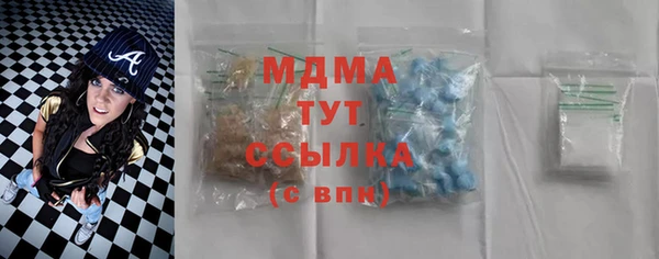 крисы Бородино