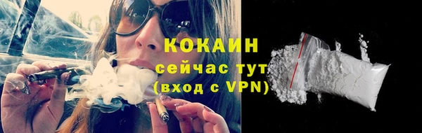 крисы Бородино