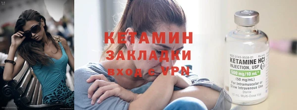 крисы Бородино