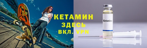 крисы Бородино