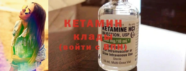 крисы Бородино