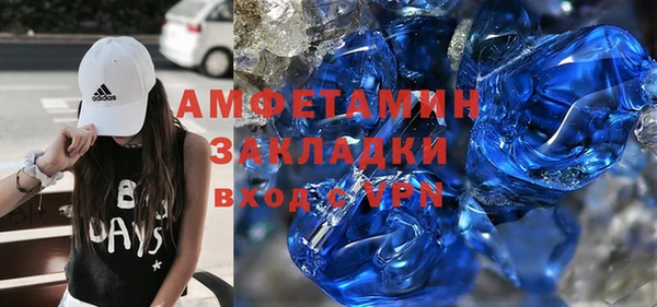 крисы Бородино