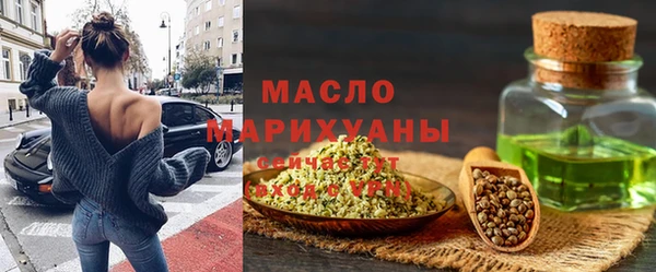 крисы Бородино