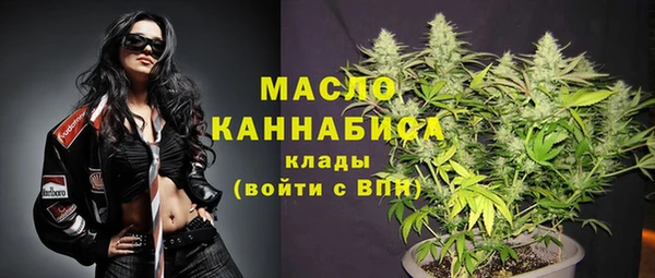 крисы Бородино