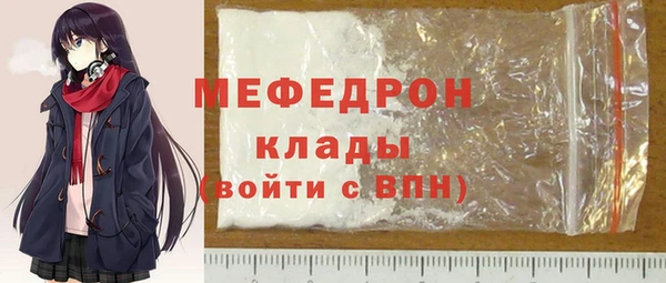 крисы Бородино