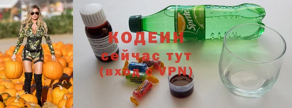 крисы Бородино