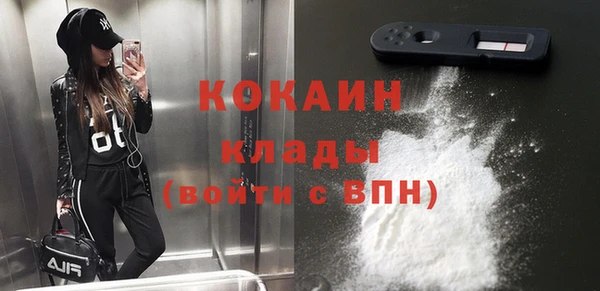 крисы Бородино
