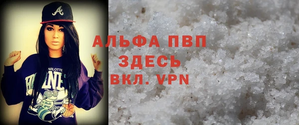 крисы Бородино