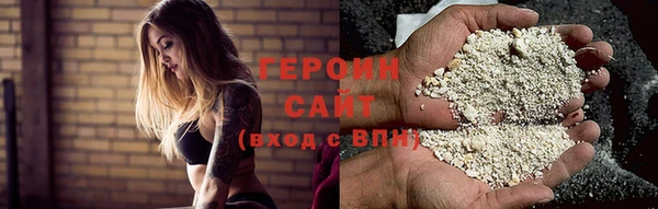 крисы Бородино